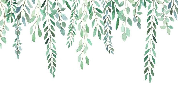 Mindent a környezet(védelem)ről